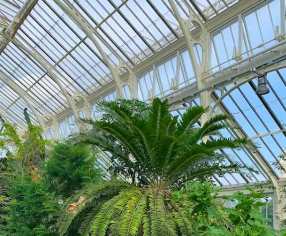 هوش مصنوعی راه حلی برای بحران جنسی تنهاترین گیاه جهان!