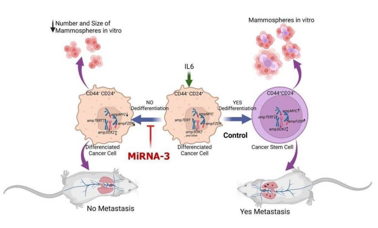 ساخت داروی موثر جلوگیری از متاستاز در روسیه