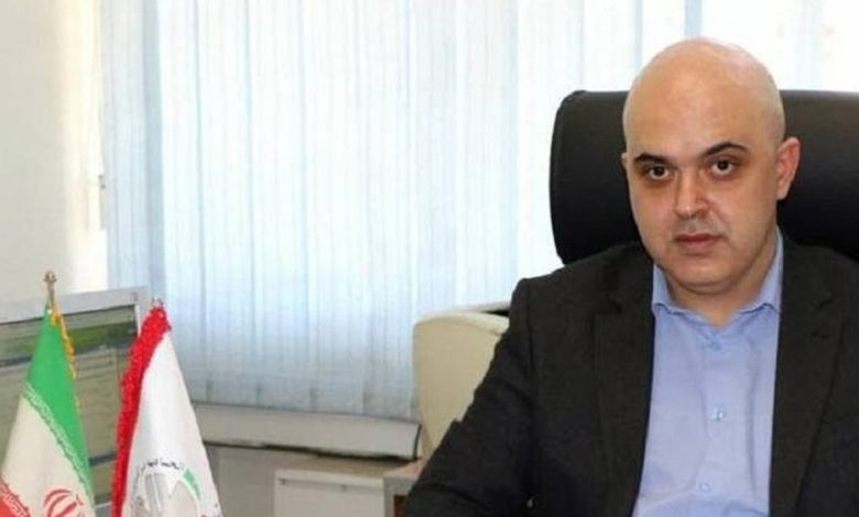 کاشانی: در دولت سیزدهم از واردکننده تخم مرغ به صادرکننده تبدیل شدیم