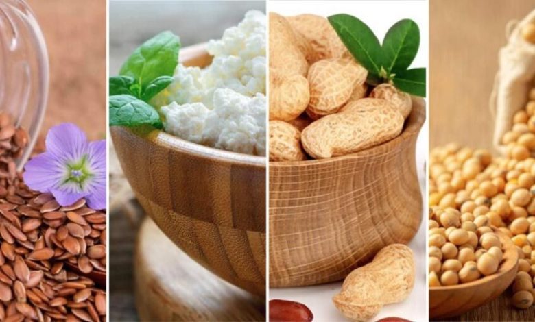 بهترین منابع پروتئین برای گیاهخواران