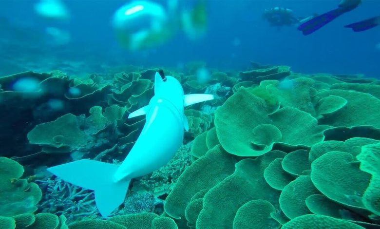 ساخت ماهی رباتیک برای رصد زیست‌بوم دریایی