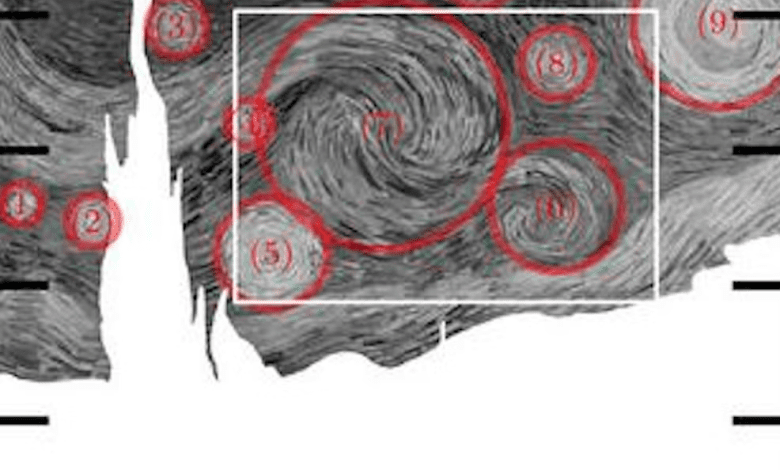 کشف حقیقتی جالب در مورد نقاشی شب پرستاره ونگوگ