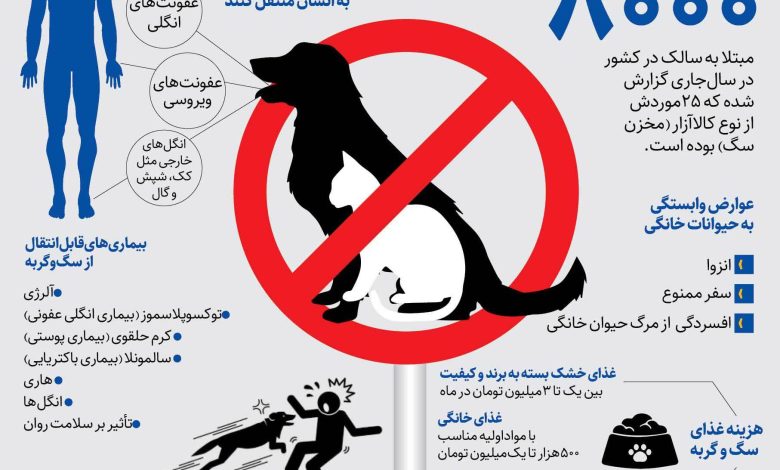 مراقبت های حیوانات خانگی