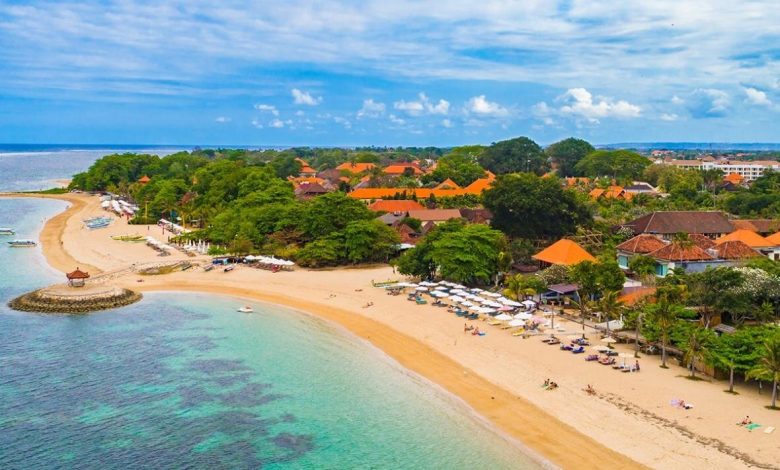 تاب سواری در جنگل های استوایی بالی