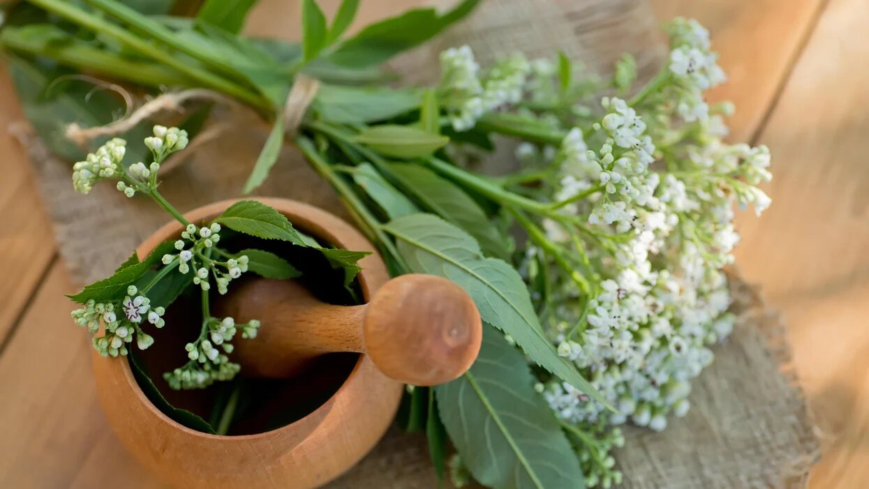 سنبل الطیب