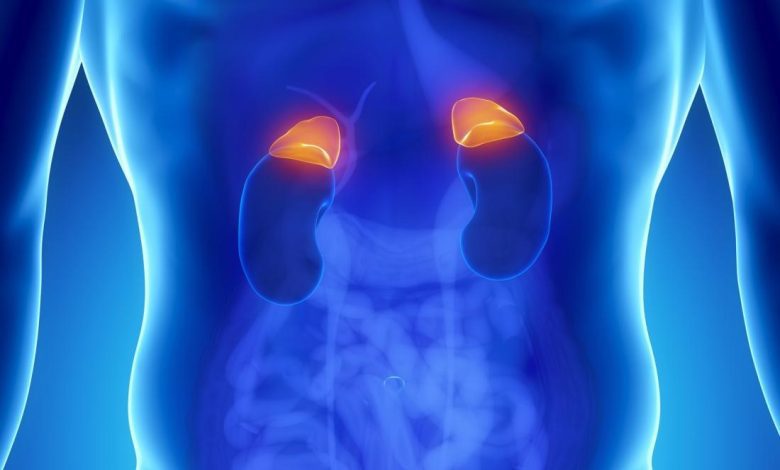 کورتیزول بالا - درمان کورتیزول بالا