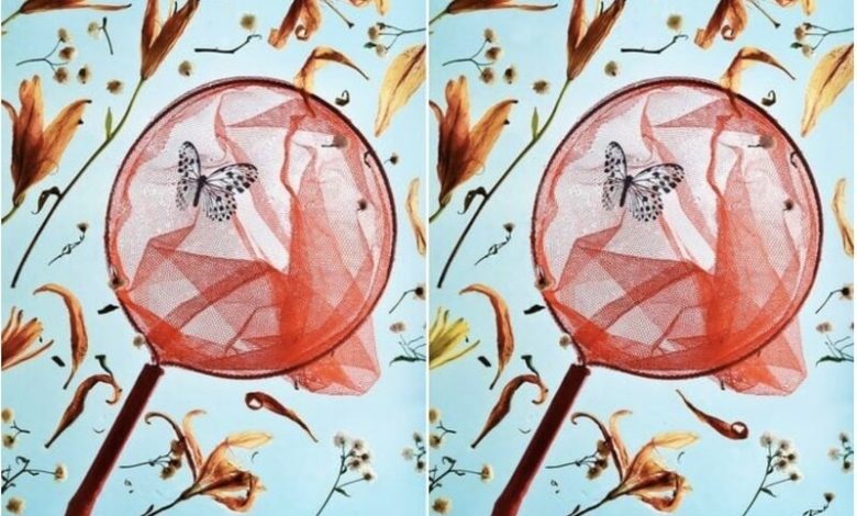 تفاوت میان دو تصویر