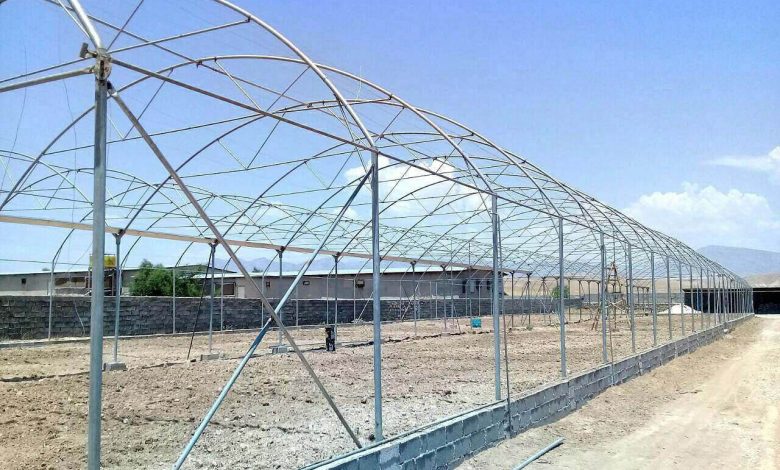مزایای گلخانه‌ سازی: چرا گلخانه‌های تونلی بهترین انتخاب هستند؟