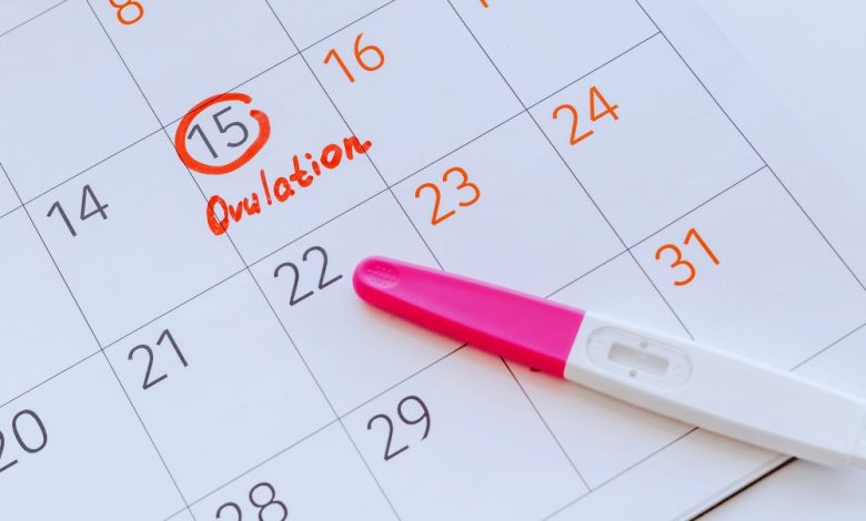 بارداری - تشخیص روز تخمک گذاری