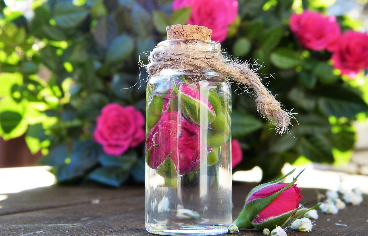 خواص گلاب برای پوست - خواص گلاب برای پوست قبل از خواب