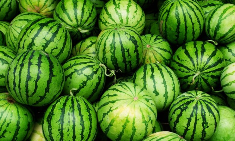 خواص هندوانه شب یلدا