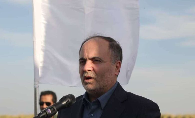 ۲۵ درصد خرمای کشور در خوزستان تولید می‌شود