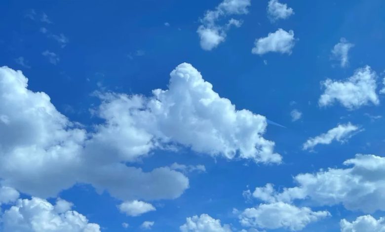 رونمایی بلوسکای از فید ویدیویی سفارشی؛ رقابت داغ برندها در دنیای ویدیوهای عمودی