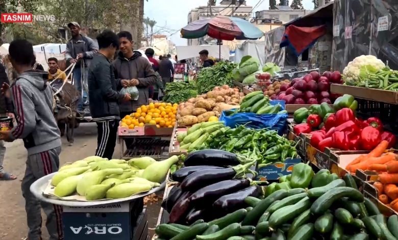 نوار غزه , فلسطین , رژیم صهیونیستی (اسرائیل) , مقاومت فلسطین ,