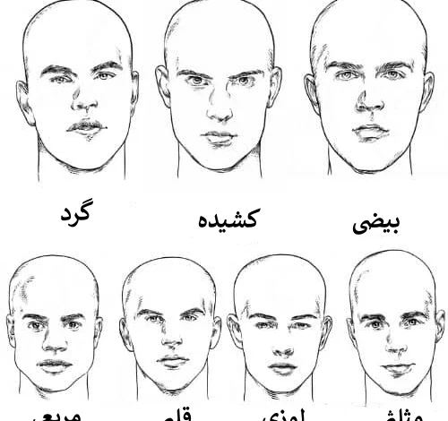 انواع فرم صورت