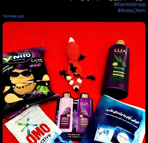 سرویس سمپلینگ اسنپ_مارکت