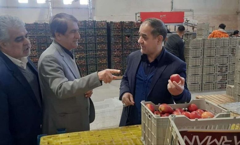 نظارت ویژه میدانی بر وضعیت تنظیم بازار میوه شب عید در کشور