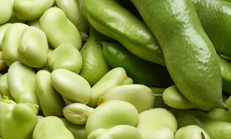 باقالی - عوارض مصرف باقلا