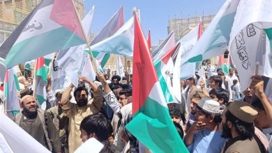 کشور افغانستان , طالبان , کشور فلسطین , اعتراض , نوار غزه ,