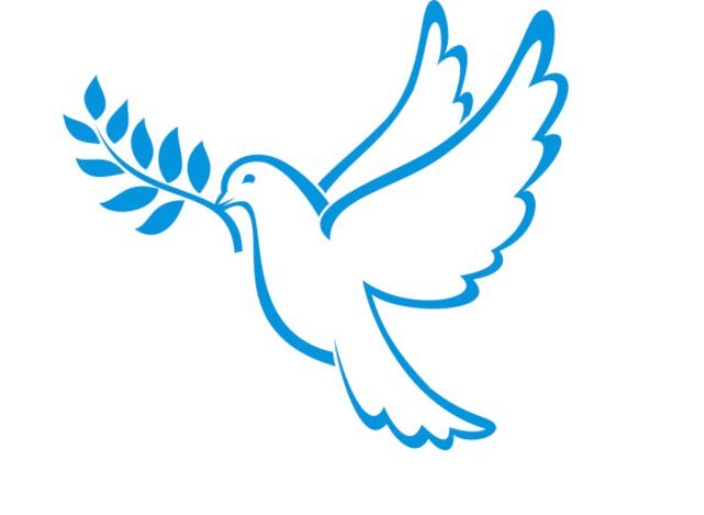 ۲۹می؛ روز جهانی صلح‌بانان سازمان ملل متحد International Day of United Nations Peacekeepers
