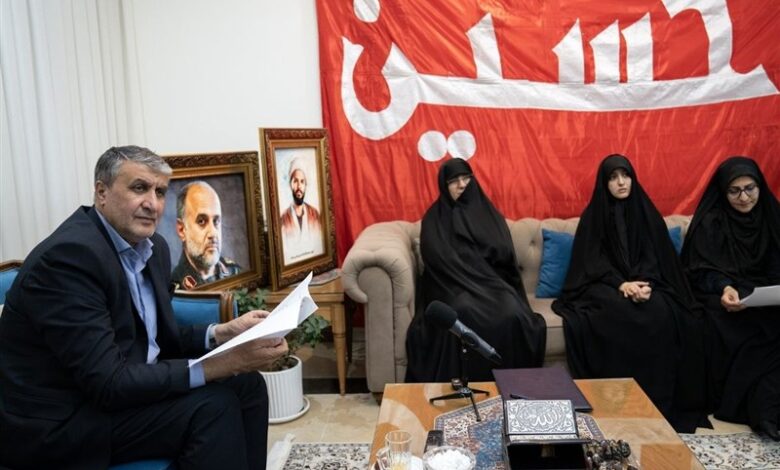 محمد اسلامی , سازمان انرژی اتمی ایران ,