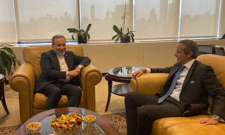 مدیر کل آژانس بین‌المللی انرژی اتمی , سید عباس عراقچی ,