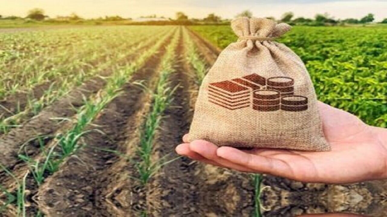 پرداخت ۹۴ درصد مطالبات گندمکاران / کشاورزان چشم‌انتظار تعیین قیمت جدید گندم
