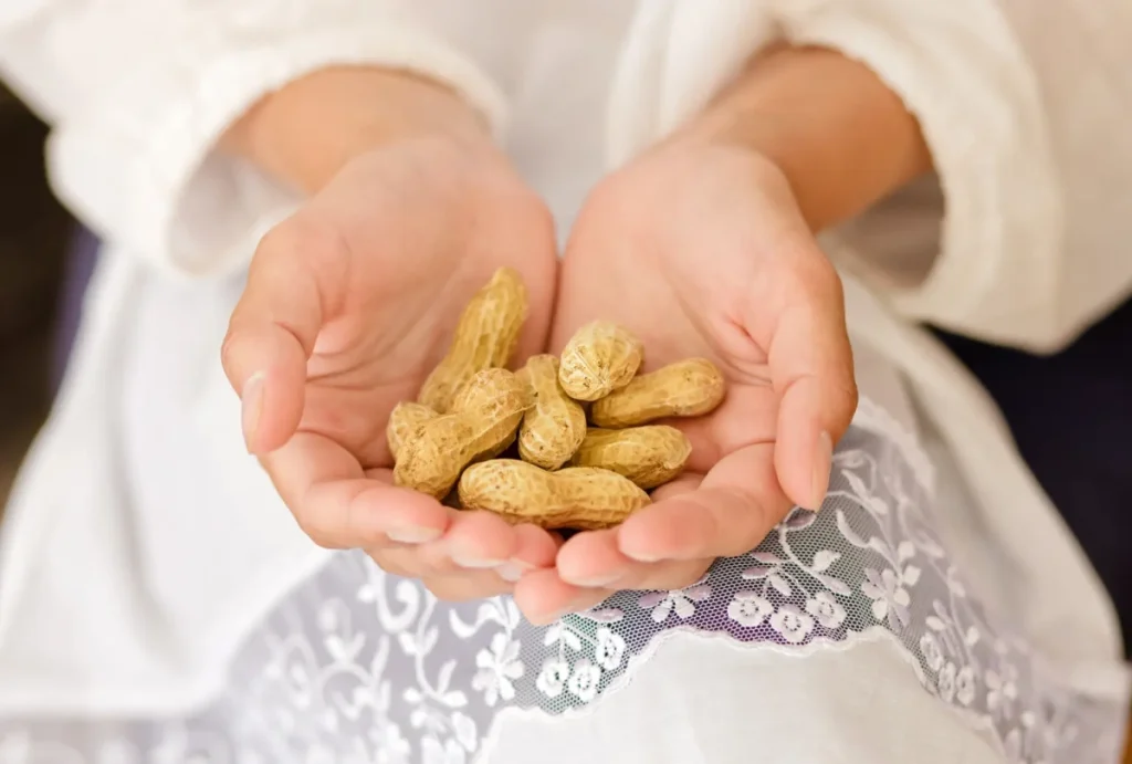 بادام‌زمینی