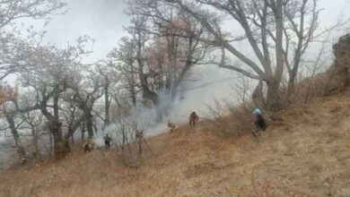 دستور ویژه برای اطفای حریق در چالوس