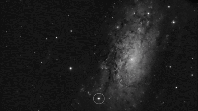 ثبت لحظه‌ای بی‌سابقه: مشاهده‌ی موج یک ابرنواختر هنگام خروج از سطح ستاره‌ای در حال مرگ