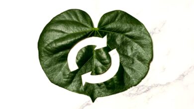 اقتصاد دایره‌ای