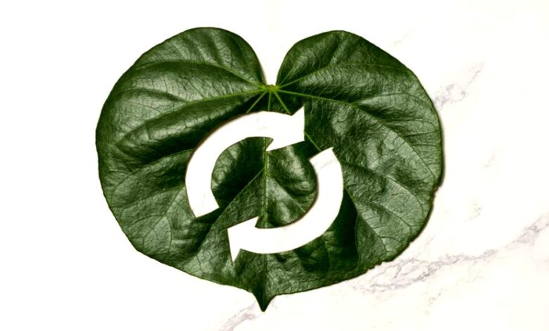 اقتصاد دایرهای