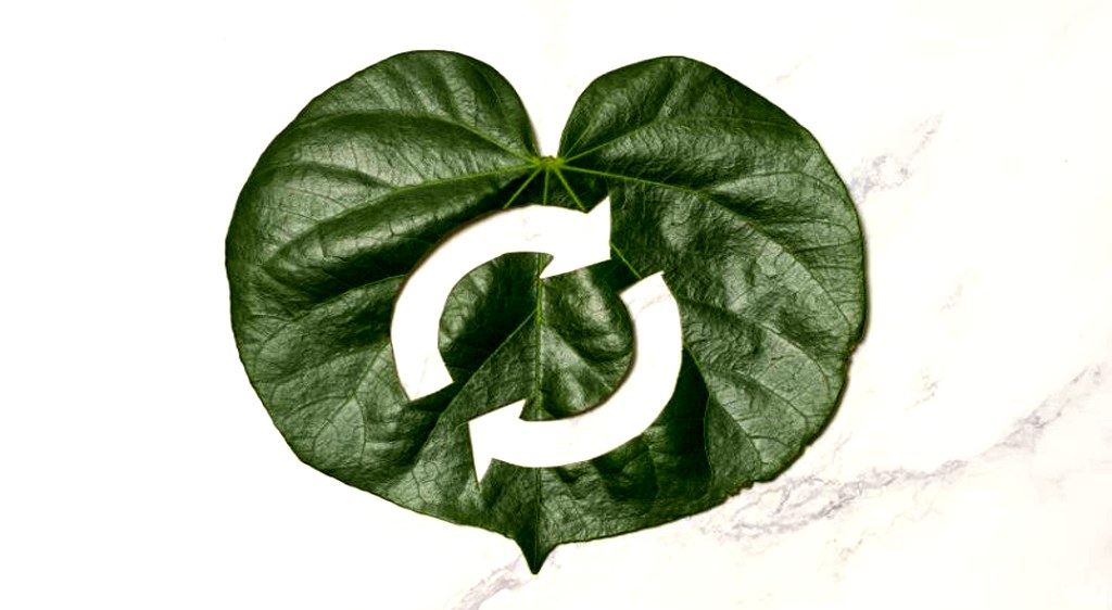 اقتصاد دایرهای