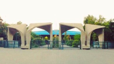 دانشگاه تهران