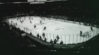 آکواریوم پسرانه- boy aquariums