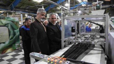 سورتر صابون پاکسان