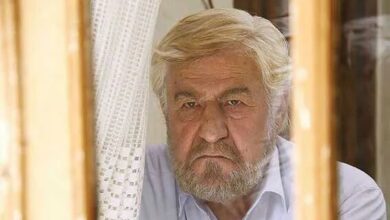 حیثیت نقش‌های منفی