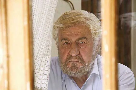 حیثیت نقشهای منفی