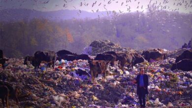 افشاگری یک مستندساز از بحران پسماند در شمال کشور | تهدید به مرگ شدم! + عکس