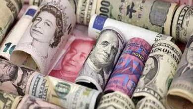 قیمت دلار و قیمت یورو امروز دوشنبه ۳۱ فروردین ۱۴۰۵ + جدول