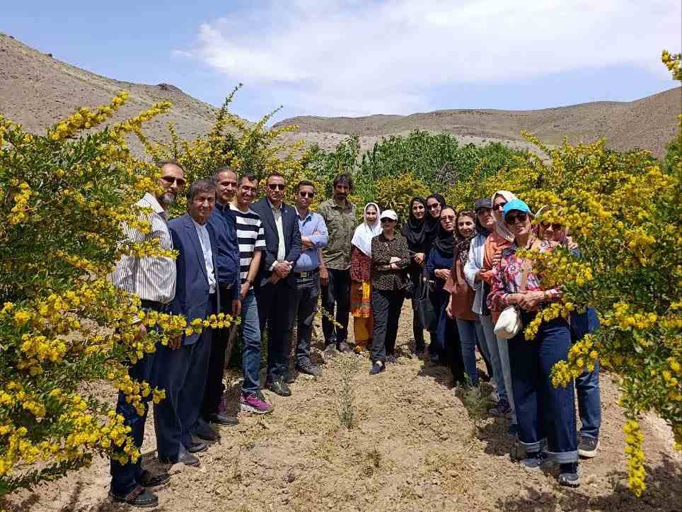 898651 - رویداد «شکوفههای زرد زرشک»؛ گامی برای برندسازی گردشگری خراسان جنوبی