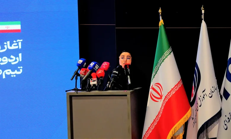 فاطمه منصوری معاون پژوهش، برنامه‌ریزی و سنجش مهارت سازمان آموزش فنی و حرفه‌ای کشور