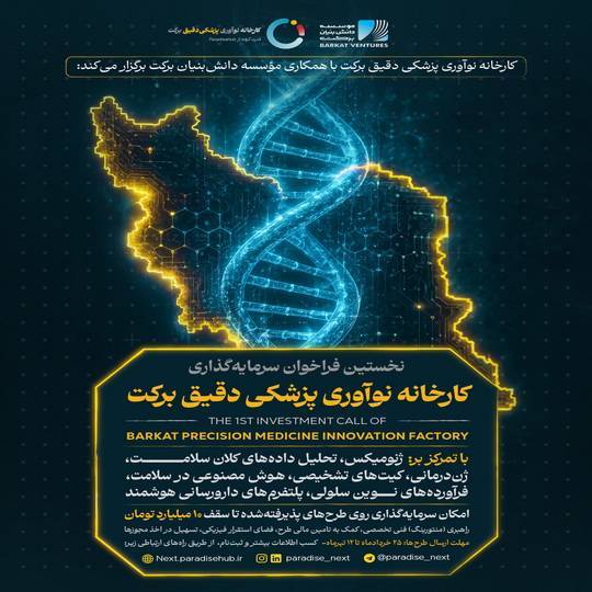 برکت