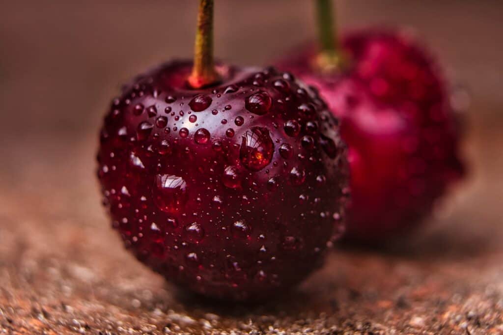 آلبالو مناسب برای ترشی
