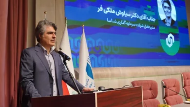 سیاوش ملکی‌فر، مدیرعامل شناسا